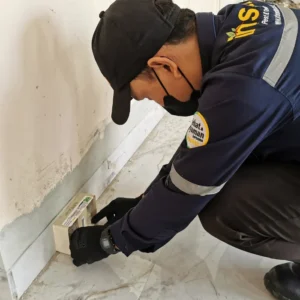 Anti rayap sistem umpan