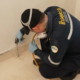 Anti rayap sistem suntik