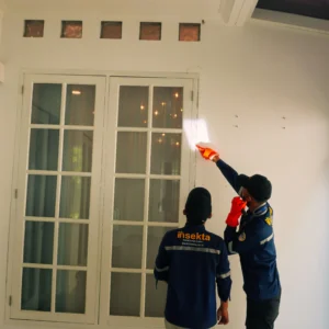 Jasa anti rayap