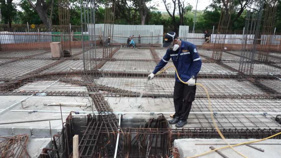 treatment spraying rayap
