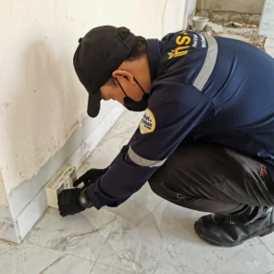 jasa pembasmi rayap profesional